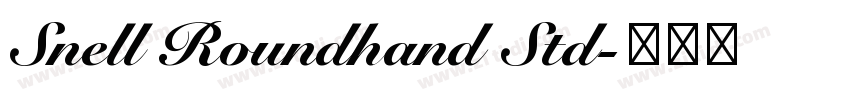 Snell Roundhand Std字体转换